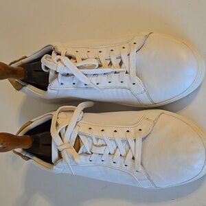 ALLEN EDMONDS Courtside Sneaker White 11
